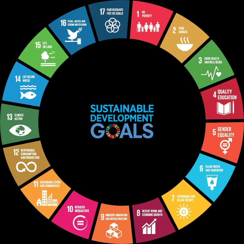 United Nations Sustainable Development Goals