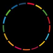Youth 4 Global Goals