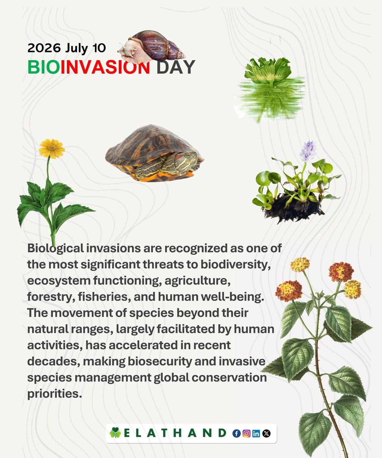 BIOINVASION DAY, 10 July: biological invasions and their ecological impacts.