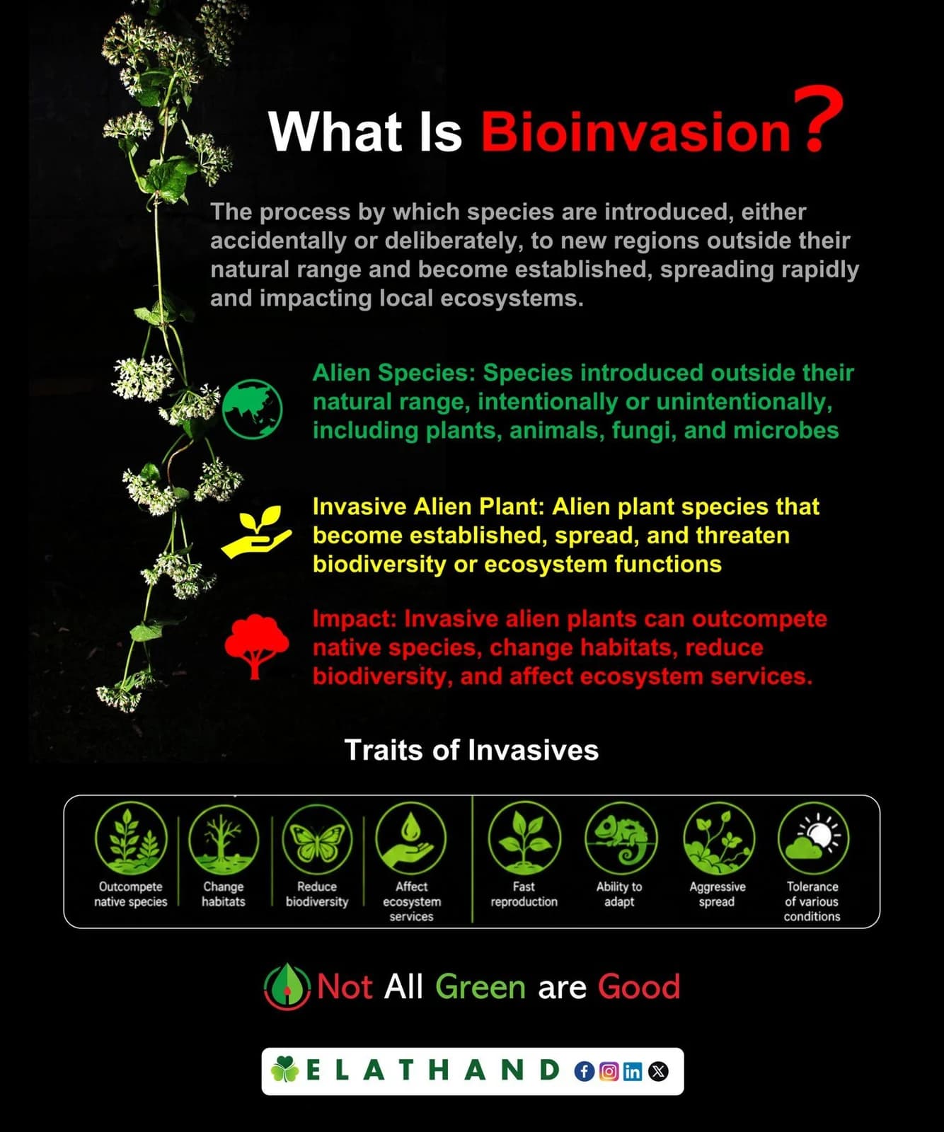 What is bioinvasion? An ELATHAND educational infographic on invasive alien species.